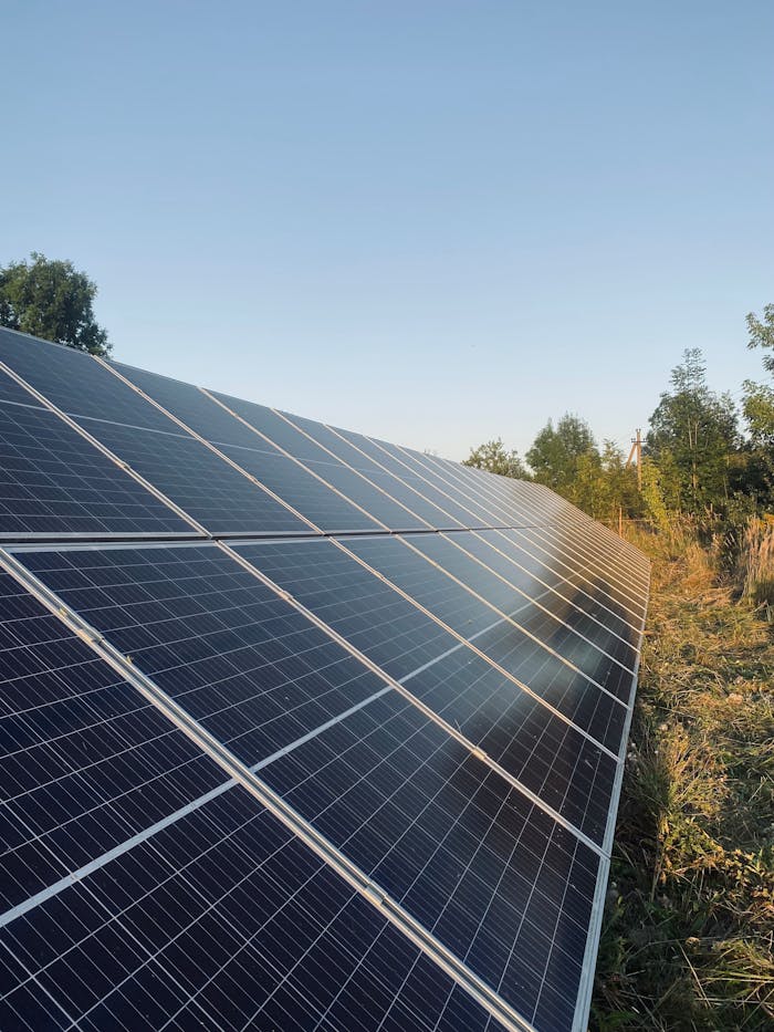 why-choose-us-02 A field of solar panels harnessing sunlight for renewable energy.